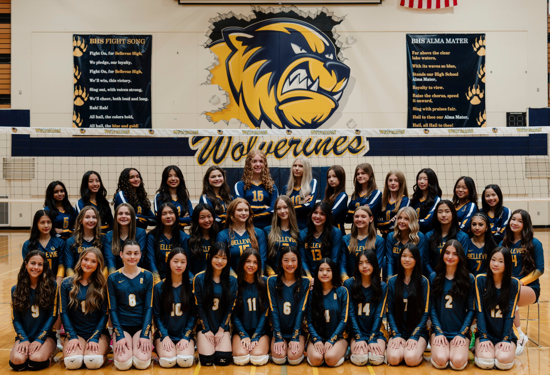 Wolverines volleyball team
